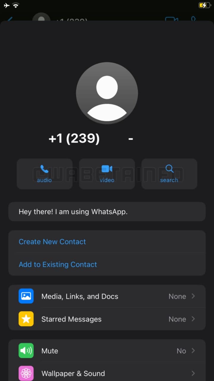 WhatsApp contact info