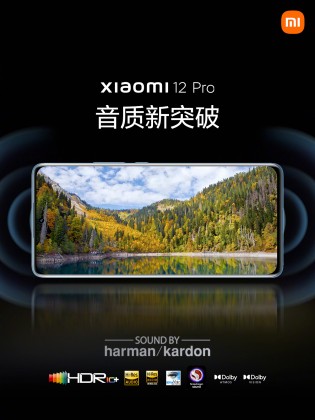Xiaomi 12 Pro display