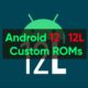 Android 12 and 12L Custom ROM Xiaomi devices
