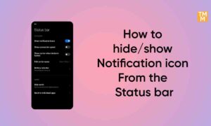 How to hide show notification icon from the Status bar