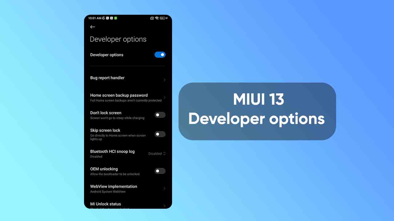 Xiaomi MIUI 13 developer options